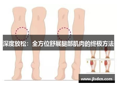 深度放松：全方位舒展腿部肌肉的终极方法